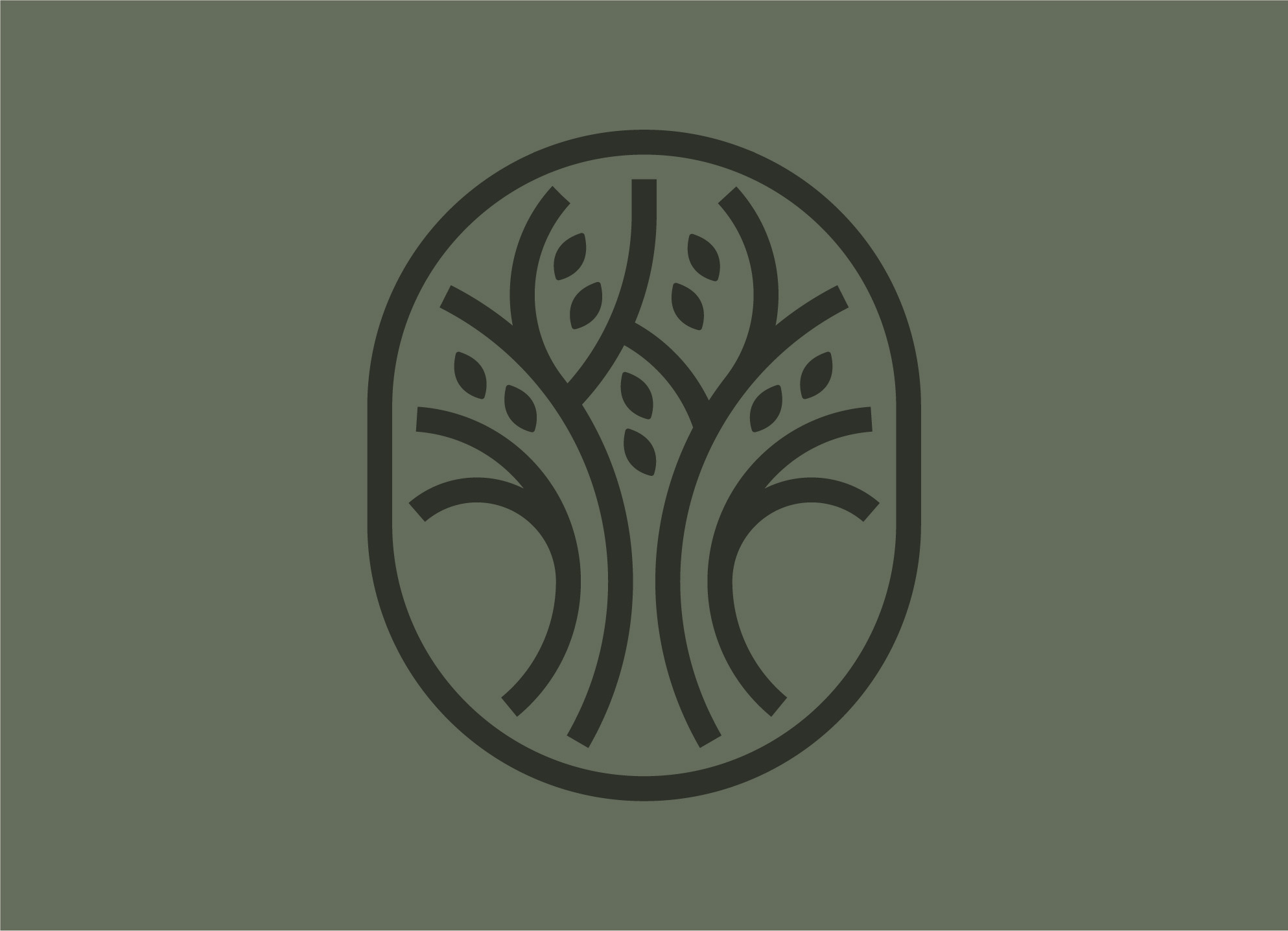 Ammaturo Logo Design & Brand Identity