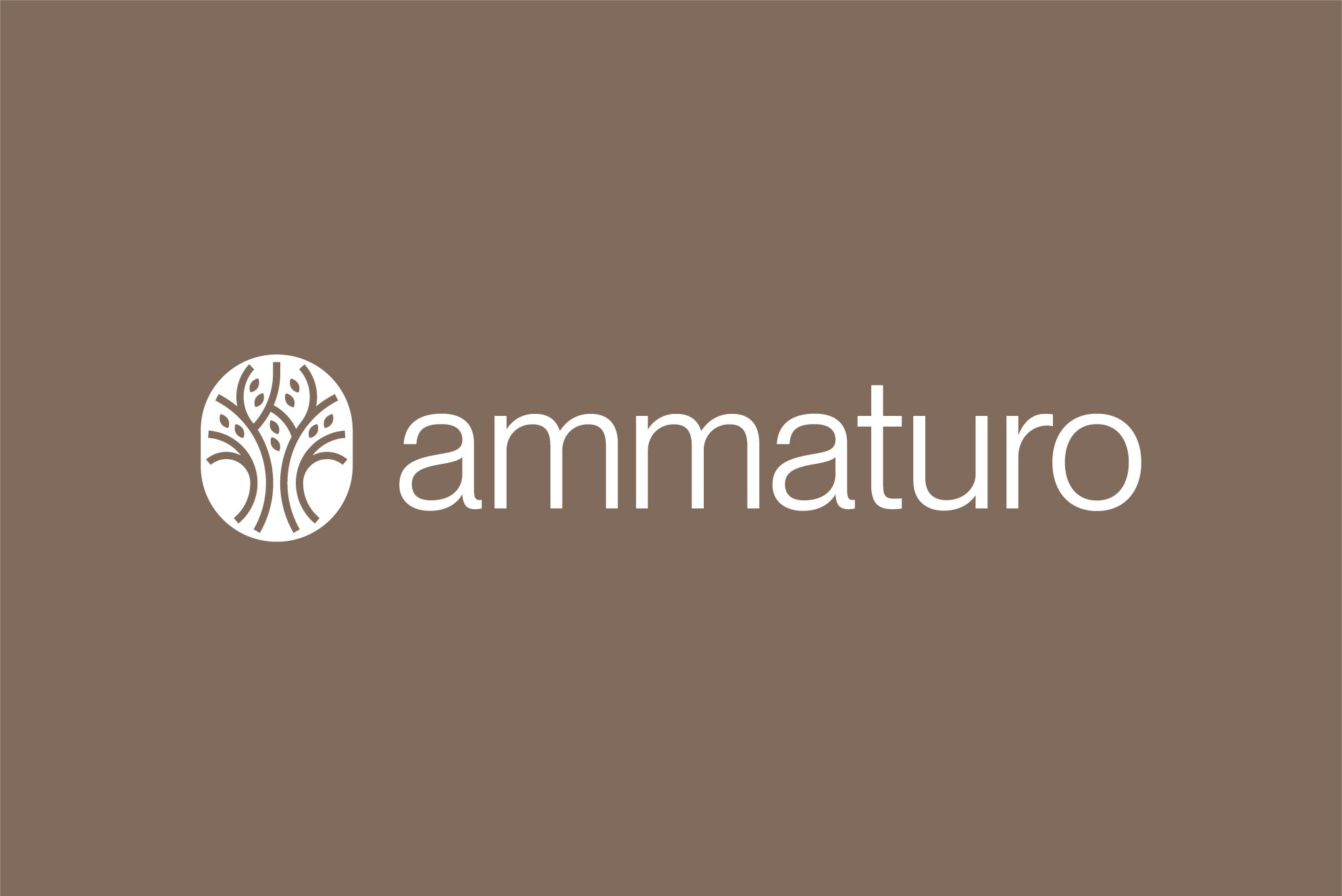 Ammaturo Logo Design & Brand Identity