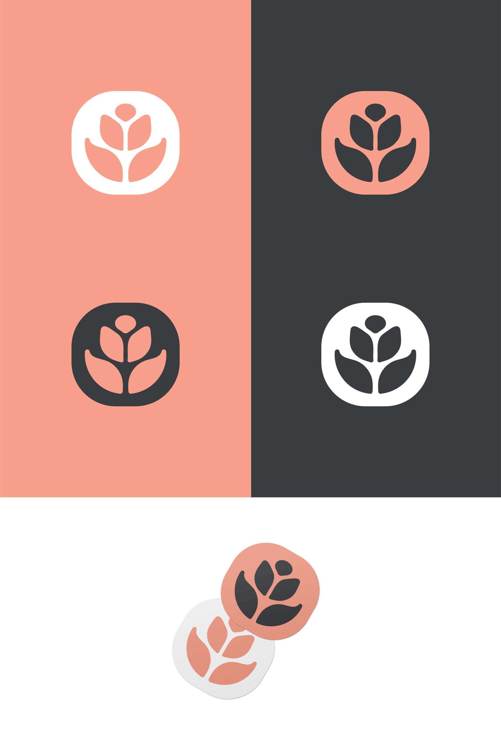 Anchored Elements Logo Design & Brand Identity