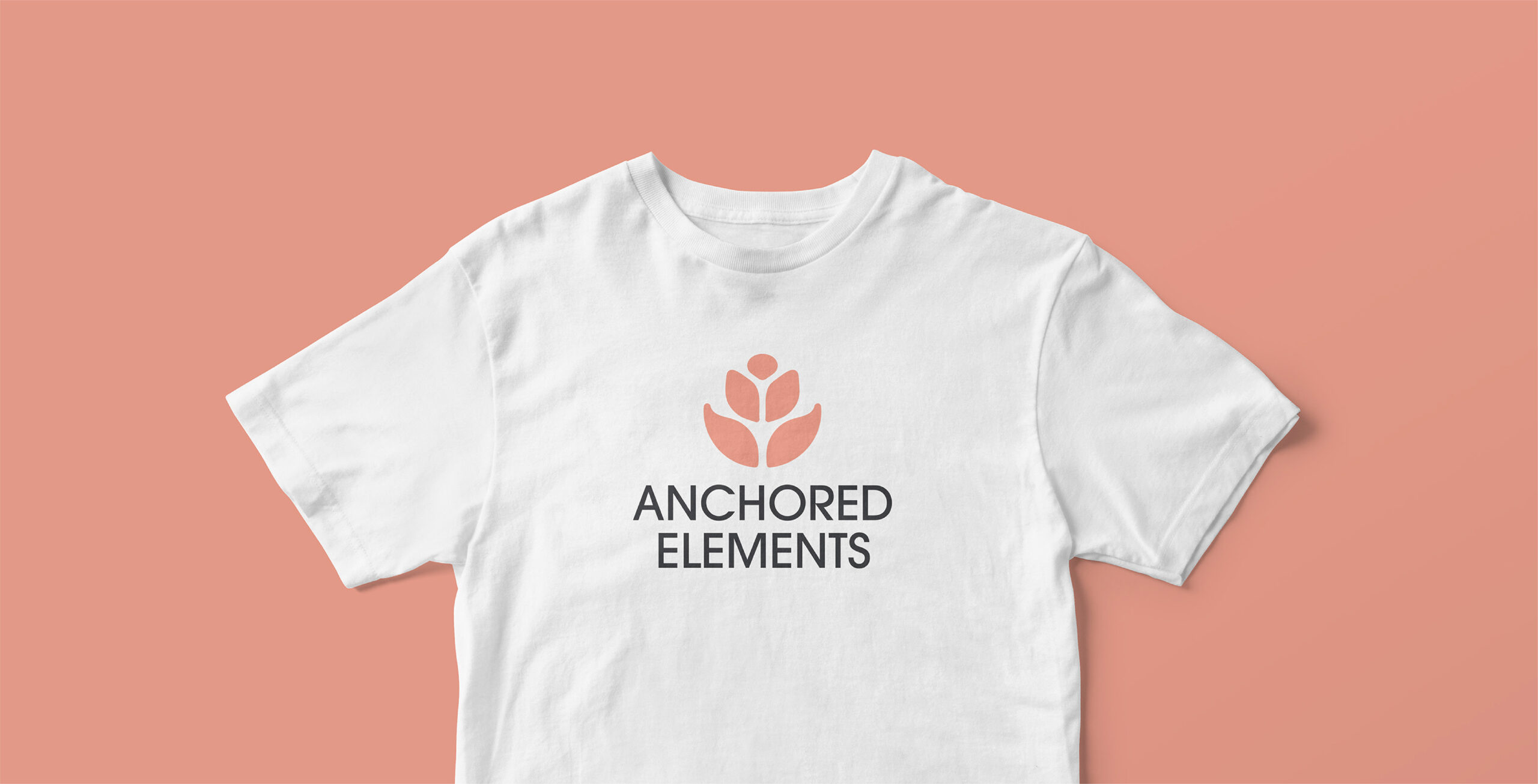 Anchored Elements Logo Design & Brand Identity