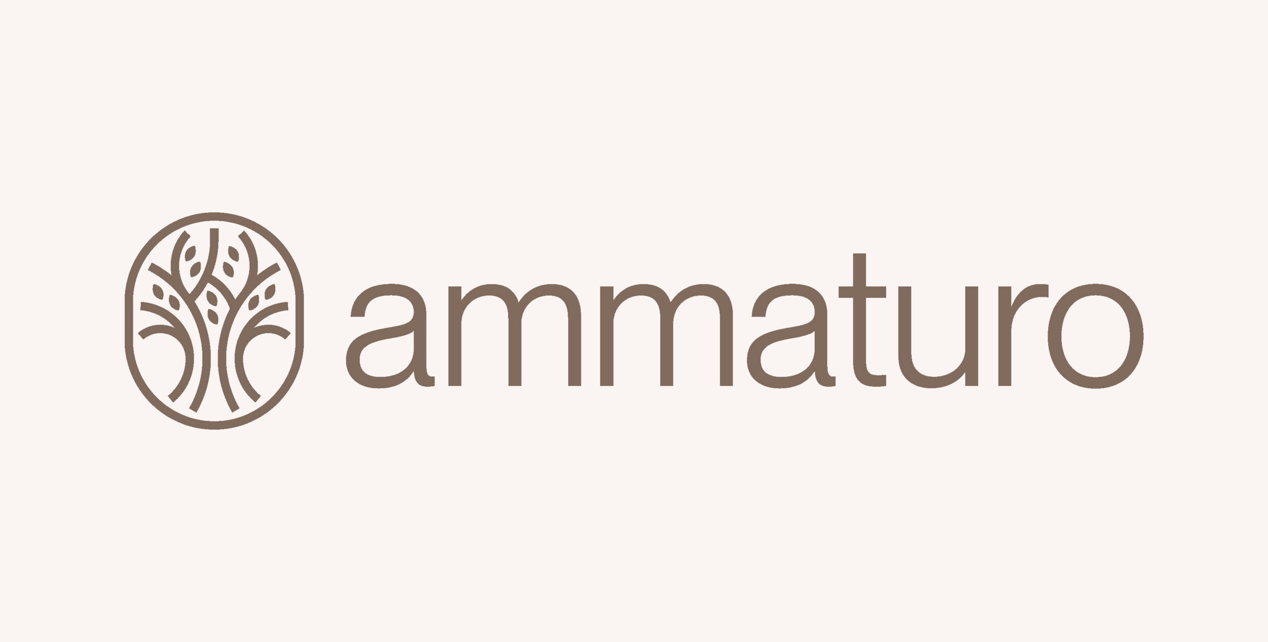 Ammaturo Bookkeeping