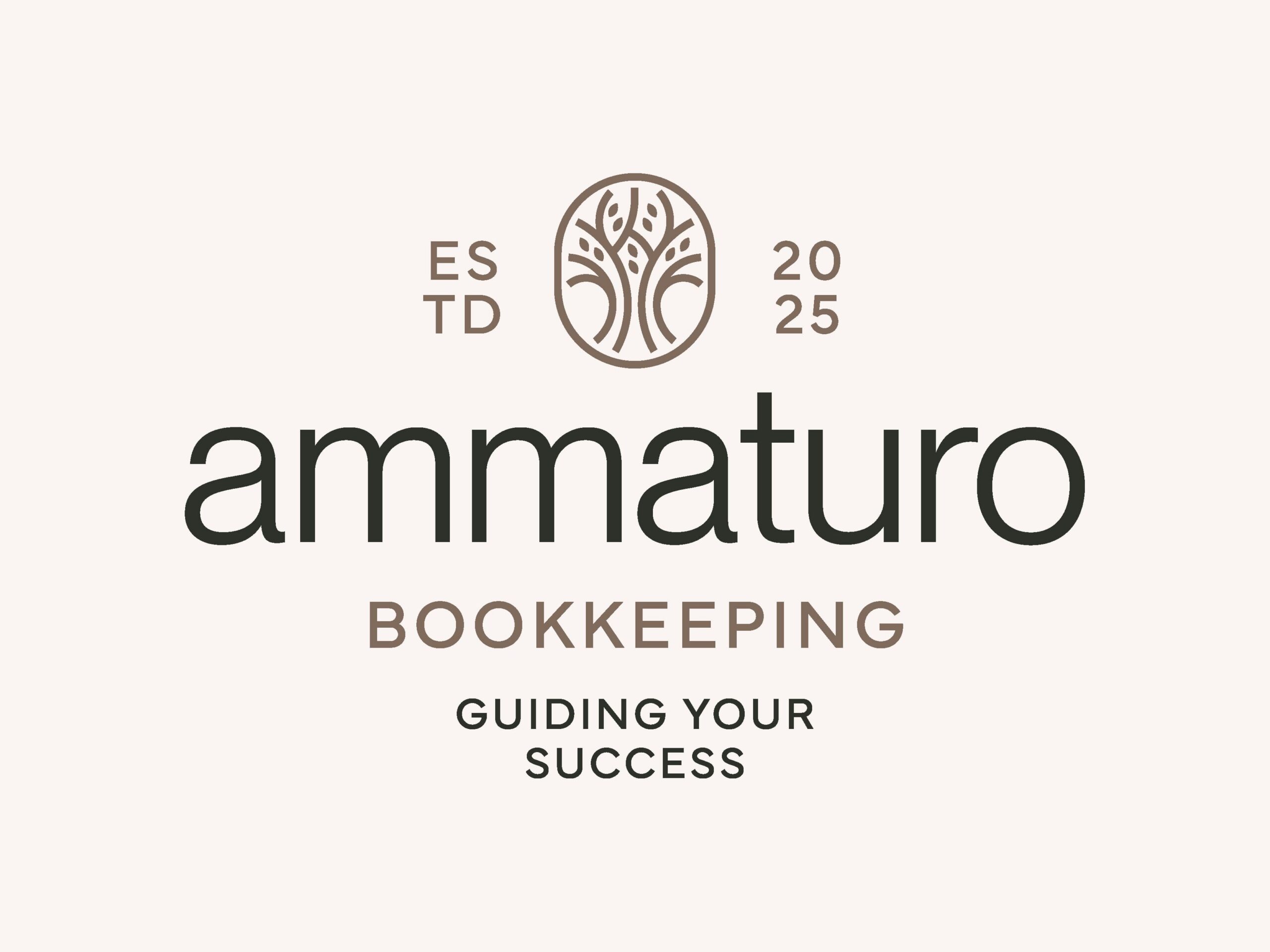 Ammaturo Bookkeeping