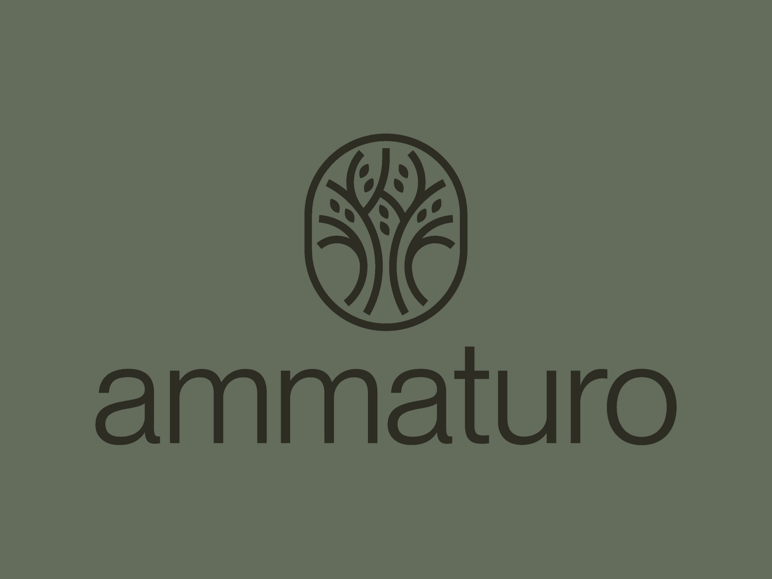 Ammaturo Bookkeeping